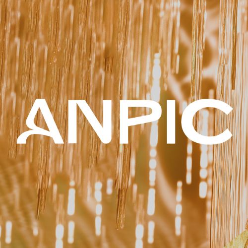 logo-ANPIC