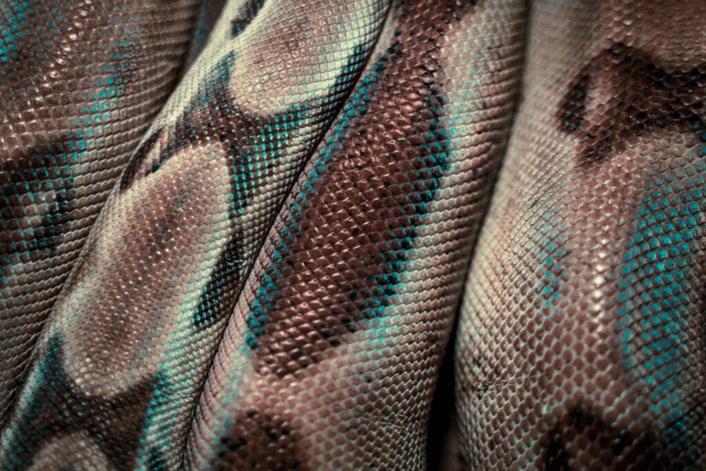 cuir-de-serpent
